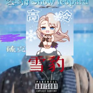 纲手穿比亚尼内射
