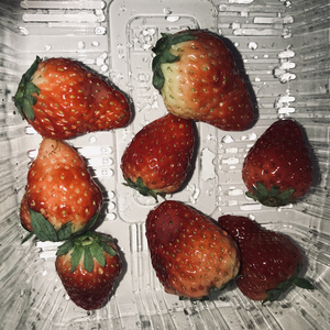 纲手穿比亚尼内射
